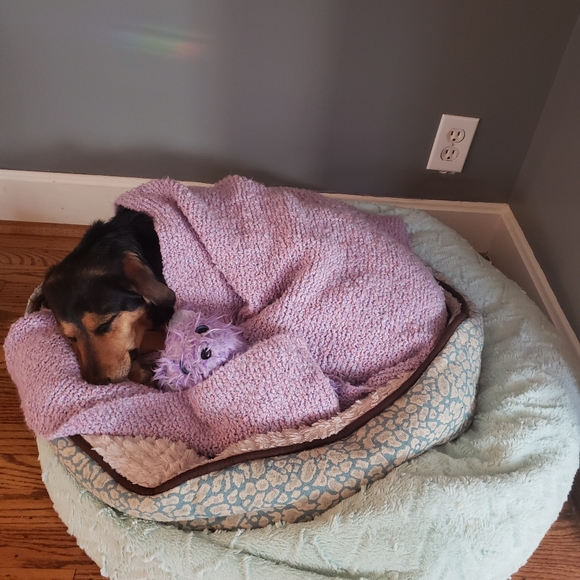 Meet your Posher, Ann - Picture 2 of 4